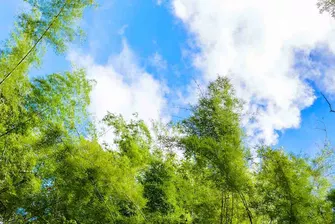 Klimawandel und Gesundheit